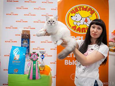 �������� ����� 7-8 ���� 2018 4-29-0039.jpg