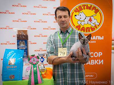 �������� ����� 7-8 ���� 2018 7-79-0036.jpg