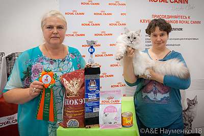 �������� ����� 7-8 ���� 2018 2-93-.jpg