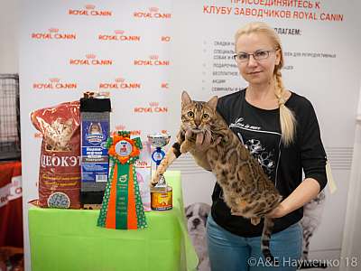 �������� ����� 7-8 ���� 2018 7-41-0540.jpg