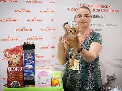 �������� ����� 7-8 ���� 2018 8-33-0538.jpg