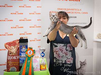 �������� ����� 7-8 ���� 2018 9-102-0537.jpg