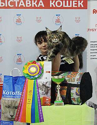 �������� ����� 8-9 �������� 2018 1-23-IMG_3723.jpg