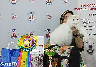 �������� ����� 8-9 �������� 2018 3-136-IMG_3703.jpg