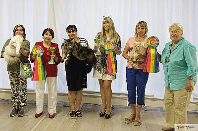 �������� ����� 8-9 �������� 2018 IMG_3716.jpg