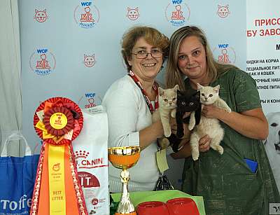 �������� ����� 8-9 �������� 2018 11-77-IMG_4378.jpg