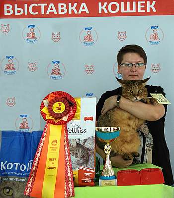 �������� ����� 8-9 �������� 2018 13-123-IMG_4369.jpg