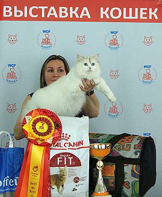 �������� ����� 8-9 �������� 2018 2-136-IMG_4473.jpg