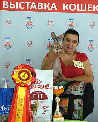 �������� ����� 8-9 �������� 2018 3-117-IMG_4465.jpg