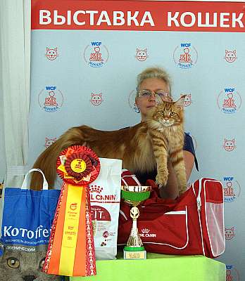 �������� ����� 8-9 �������� 2018 4-11-IMG_4435.jpg