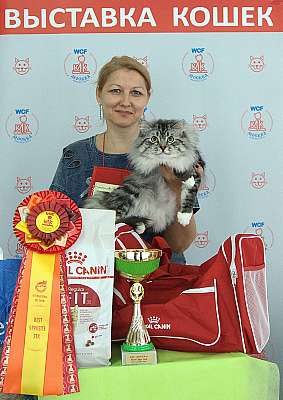 �������� ����� 8-9 �������� 2018 5-56-IMG_4450.jpg