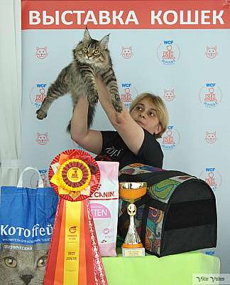 �������� ����� 8-9 �������� 2018 7-25-IMG_4420.jpg