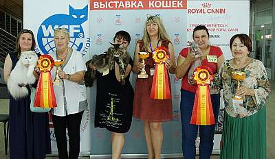 �������� ����� 8-9 �������� 2018 IMG_4498.jpg