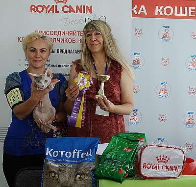 �������� ����� 8-9 �������� 2018 3-121-IMG_4059.jpg