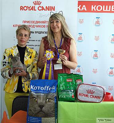 �������� ����� 8-9 �������� 2018 7-89-IMG_4034.jpg