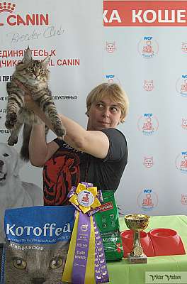 �������� ����� 8-9 �������� 2018 3-25-IMG_4287.jpg