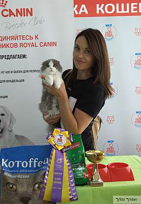 �������� ����� 8-9 �������� 2018 6-39-IMG_4304.jpg