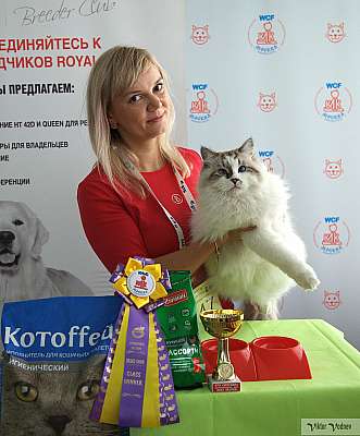 �������� ����� 8-9 �������� 2018 8-9-IMG_4312.jpg