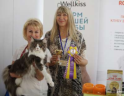 �������� ����� 8-9 �������� 2018 8-4-IMG_2900.jpg