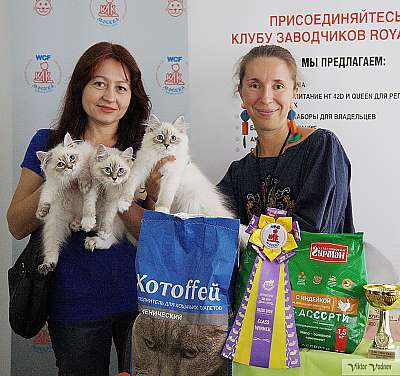 �������� ����� 8-9 �������� 2018 7-149-IMG_3485.jpg