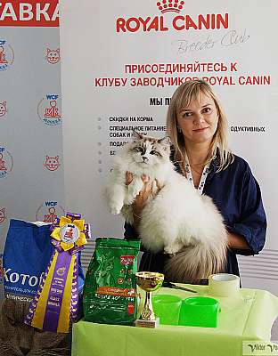 �������� ����� 8-9 �������� 2018 8-49.jpg