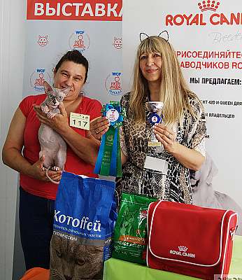 �������� ����� 8-9 �������� 2018 3-117-IMG_3358.jpg