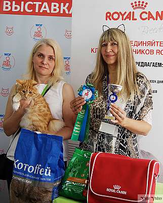 �������� ����� 8-9 �������� 2018 4-137-IMG_3369.jpg