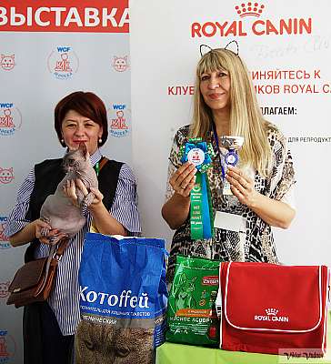 �������� ����� 8-9 �������� 2018 8-114-IMG_3430.jpg