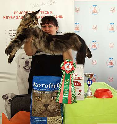 �������� ����� 8-9 �������� 2018 1-23-IMG_3936.jpg