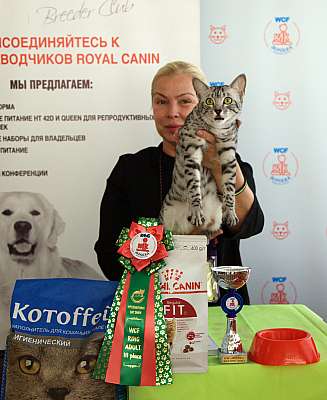 �������� ����� 8-9 �������� 2018 3-95-IMG_3925.jpg