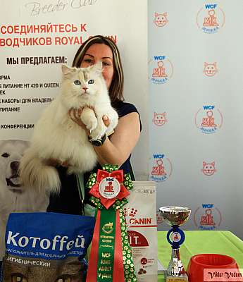 �������� ����� 8-9 �������� 2018 5-136-IMG_3904.jpg