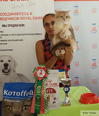 �������� ����� 8-9 �������� 2018 6-79-IMG_3896.jpg