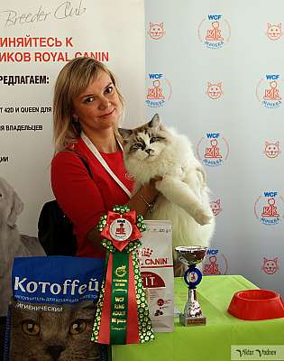 �������� ����� 8-9 �������� 2018 7-49-IMG_3887.jpg