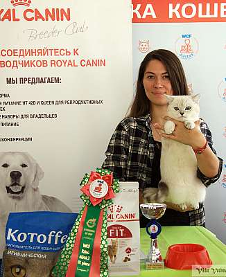 �������� ����� 8-9 �������� 2018 9-84-IMG_3906.jpg