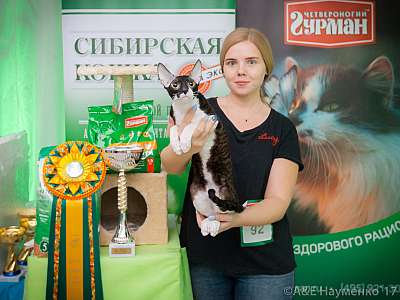 �������� �����  20-21 ������� 2018 �. 1-92-0282.jpg