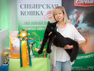 �������� �����  20-21 ������� 2018 �. 10-136-0237.jpg