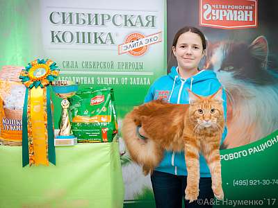 �������� �����  20-21 ������� 2018 �. 12-15-0225.jpg