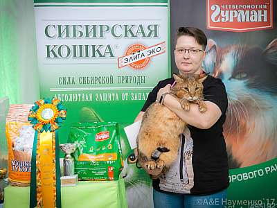 �������� �����  20-21 ������� 2018 �. 13-134-0222.jpg