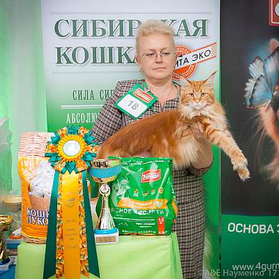 �������� �����  20-21 ������� 2018 �. 5-18-0264.jpg