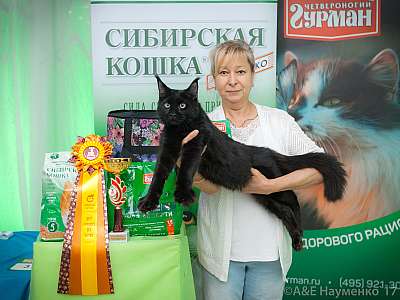 �������� �����  20-21 ������� 2018 �. 10-136-0425.jpg