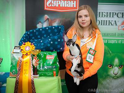 �������� �����  20-21 ������� 2018 �. 2-92-0471.jpg