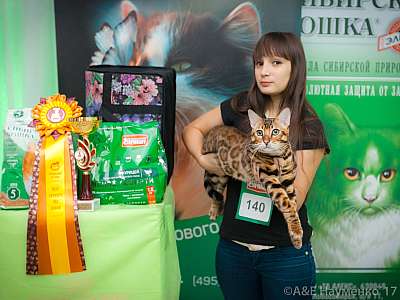 �������� �����  20-21 ������� 2018 �. 8-140-0447.jpg