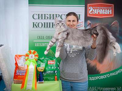 �������� �����  20-21 ������� 2018 �. 5-40-0382.jpg