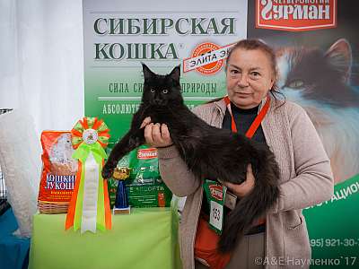 �������� �����  20-21 ������� 2018 �. 7-153-0361.jpg