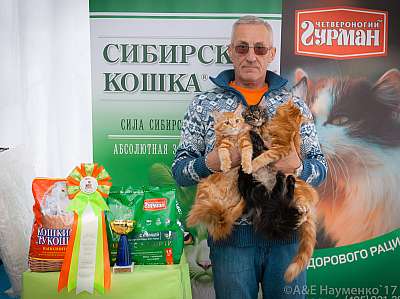 �������� �����  20-21 ������� 2018 �. 8-3-0362.jpg