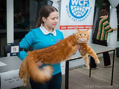 �������� �����  20-21 ������� 2018 �. 9-15-0414.jpg