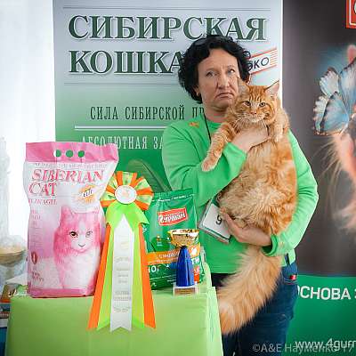 �������� �����  20-21 ������� 2018 �. 6-9-0171.jpg