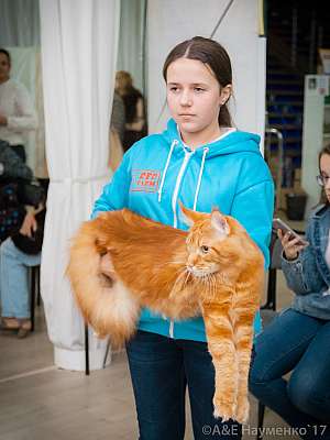 �������� �����  20-21 ������� 2018 �. 9-15-0223.jpg