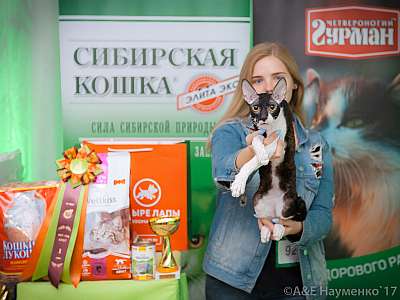 �������� �����  20-21 ������� 2018 �. 1-92-0221.jpg