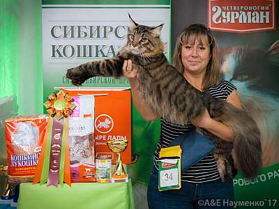 �������� �����  20-21 ������� 2018 �. 6-34-0216.jpg